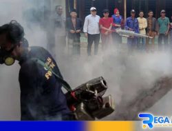 Basmi Nyamuk DBD, Permukiman Warga Rongdalam Difogging