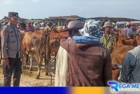 Caption: Aipda Liwail Amri, saat blusukan ke pasar hewan di Desa Aengsareh Sampang, (dok. regamedianews). 