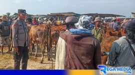 Caption: Aipda Liwail Amri, saat blusukan ke pasar hewan di Desa Aengsareh Sampang, (dok. regamedianews). 