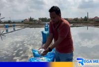 Caption: Moh Ishak bagian Purchasing PT Sumatraco meninjau produksi garam di Desa Ragung, (dok. regamedianews). 