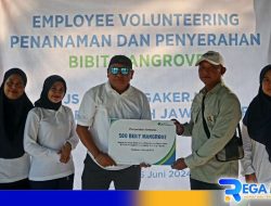 BPJamsostek Madura Berpartisipasi Dalam Penanaman Mangrove