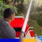 Caption: petugas Damkar Gorut saat melakukan animal rescue, (dok. Yusrianto / regamedianews). 