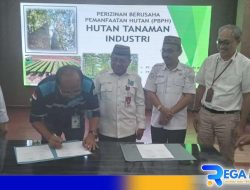 Kehadiran HTI di Gorut Berdampak Positif Terhadap Ekonomi dan Lingkungan