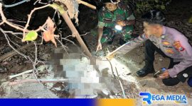 Caption: anggota TNI dan Polri tunjukkan lokasi penemuan tengkorak manusia di tepi pantai, (dok. regamedianews). 