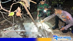 Dua Tengkorak Manusia Ditemukan di Pantai Bangkalan