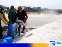 Harga Garam Rakyat Sampang Mengejutkan