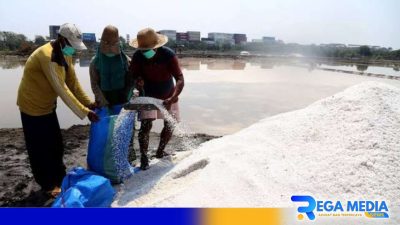 Harga Garam Rakyat Sampang Mengejutkan