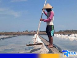 Harga Garam Anjlok, Ketua P4GM Sampang Buka Suara