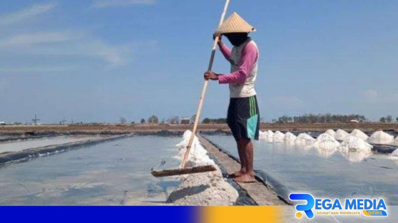 Caption: ilustrasi, (sumber foto: tribun). 