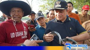 Sampang Cetak Inovasi Rumput Laut Dorong Ekosistem Bandeng dan Udang Vaname