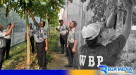 Caption: petugas Lapas Narkotika Pamekasan memantau aktivitas warga binaan saat berkebun, (dok. regamedianews). 