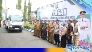 Pemkab Sampang Ekspor Rumput Laut Gracilaria Ke Pasar Internasional