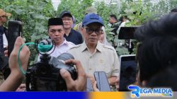 Program TEKAD Perkuat Peran BUMDes di Indonesia Timur Untuk Ketahanan Pangan