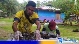 Masyarakat Warimak Kembangkan Budidaya Kepiting Bakau