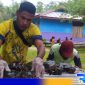 Caption: warga kampung Warimak Raja Ampat saat beraktivitas membudidaya kepiting bakau. 
