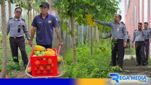 Lapas Narkotika Pamekasan Dongkrak Sektor Ketahanan Pangan