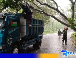 Sigap, Kapolsek Robatal Turun Langsung Evakuasi Pohon Tumbang