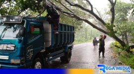 Caption: Kapolsek Robatal (AKP Siswanto) saat turun langsung evakuasi pohon tumbang, (dok. regamedianews). 
