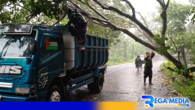 Caption: Kapolsek Robatal (AKP Siswanto) saat turun langsung evakuasi pohon tumbang, (dok. regamedianews). 