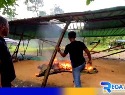 Polisi Bubarkan Sabung Ayam Modung Bangkalan