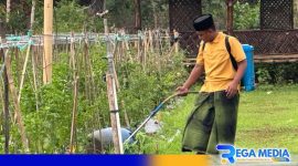Caption: Penerapan teknologi seperti sensor nutrisi tanah dan rain harvesting, (dok. regamedianews). 
