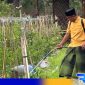 Caption: Penerapan teknologi seperti sensor nutrisi tanah dan rain harvesting, (dok. regamedianews). 
