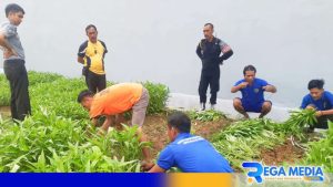 Rutan Sampang Wujudkan Program Ketahanan Pangan