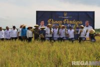 Caption: Menteri Imigrasi dan Pemasyarakatan (Agus Andrianto) turun langsung panen perdana di Nusakambangan. 