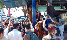 BNNP Jatim Musnahkan Puluhan Kilogram Narkotika