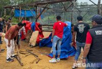 Caption: polisi tak berseragam membongkar arena sabung ayam di Desa Batuporo Barat, (sumber foto. Satreskrim Polres Sampang). 