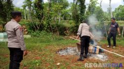 Polisi Sampang Gerebek Sabung Ayam Dekat Kuburan
