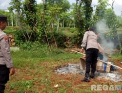 Polisi Sampang Gerebek Sabung Ayam Dekat Kuburan