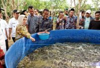 Caption: Sesdirjendikti Kemendikti Saintek meninjau langsung lokasi budidaya lele probiotik oleh UTM di Desa Tengket Arosbaya Bangkalan, (dok. regamedianews). 