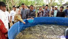 Caption: Sesdirjendikti Kemendikti Saintek meninjau langsung lokasi budidaya lele probiotik oleh UTM di Desa Tengket Arosbaya Bangkalan, (dok. regamedianews). 