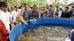 Sesdirjendikti Apresiasi Budidaya Lele Probiotik Inovasi UTM