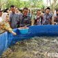 Caption: Sesdirjendikti Kemendikti Saintek meninjau langsung lokasi budidaya lele probiotik oleh UTM di Desa Tengket Arosbaya Bangkalan, (dok. regamedianews). 