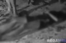Caption: potongan video jasad korban inisial IR tergeletak di tanah dalam kondisi sudah meninggal dunia, (dok. regamedianews). 