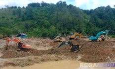 Ketua La Ham Pelototi Pertambangan di Botudulanga