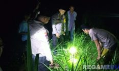 Geger !, Bayi Dibuang di Sawah Warga Sampang