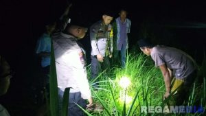 Geger !, Bayi Dibuang di Sawah Warga Sampang