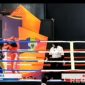 Caption: potongan video, berlangsungnya pertandingan atlet KONI Sampang cabor kickboxing diajang Porprov Jatim 2025, (dok. regamedianews). 