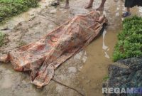 Caption: Mujib, korban tersambar petir tampak tergeletak ditutupi kain di lokasi kejadian, (dok. regamedianews). 