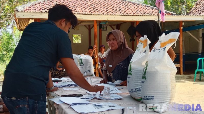 Caption: proses penyaluran bantuan pangan beras kepada Penerima Bantuan Pangan (PBP) di Desa Angsokah, (dok. regamedianews). 