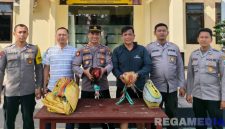 Caption: Kapolsek Sokobanah Iptu Sujiyono bersama anggotanya, menunjukkan dua ekor ayam hasil gerebek lokasi perjudian sabung ayam, (sumber foto: Humas Polres Sampang). 
