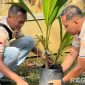 Caption: petugas Lapas saat menanam bibit pohon kelapa di area Lapas Narkotika Kelas IIA Pamekasan, (foto istimewa). 
