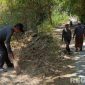 Caption: semangat gotong royong warga Desa Angsokah, bersih-bersih lingkungan sambut peringatan maulid Nabi Muhammad SAW, (dok. regamedianews). 