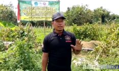 PTI Pamekasan Dongkrak Pertanian Lokal