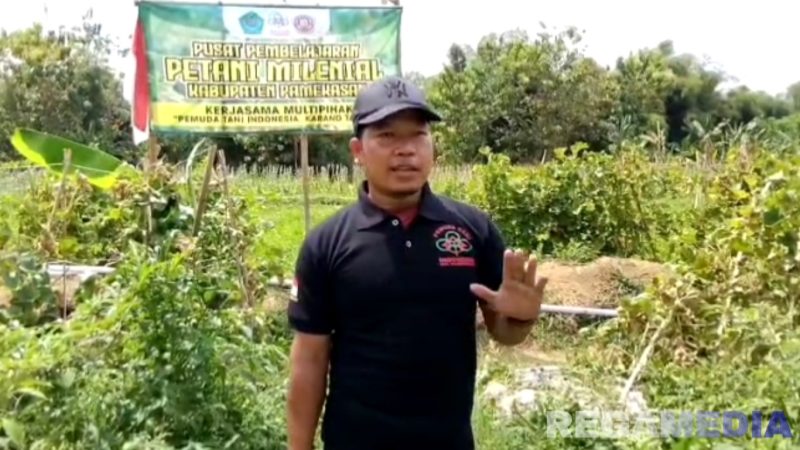 Caption: petani muda Pamekasan sukses panen semangka di lahan 1,5 hektar, (dok. regamedianews). 