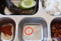 Caption: potongan video, seekor ulat merayap (lingkaran merah) di ompreng MBG, (dok. regamedianews). 