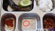 Caption: potongan video, seekor ulat merayap (lingkaran merah) di ompreng MBG, (dok. regamedianews). 